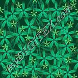 Colour:F