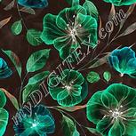 Colour:F