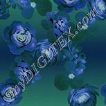 Colour:F