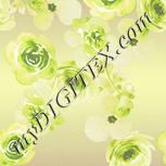 Colour:K