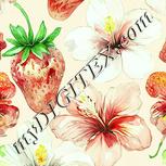 Colour:K