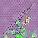 Colour:C