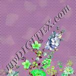 Colour:D