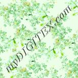 Colour:K