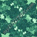 Colour:K