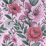 Colour:B