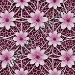 Colour:B