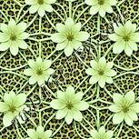 Colour:K