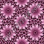 Colour:B