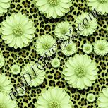 Colour:K