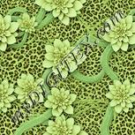 Colour:K