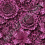 Colour:B