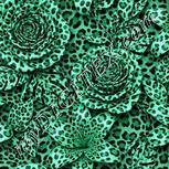 Colour:C