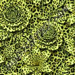 Colour:K