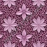 Colour:B