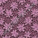 Colour:B
