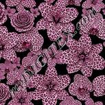 Colour:B