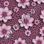 Colour:B