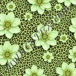 Colour:K