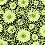 Colour:K