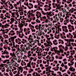 Colour:B