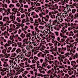 Colour:B