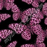 Colour:B