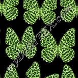 Colour:D
