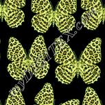 Colour:K