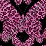 Colour:B