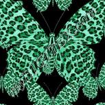 Colour:C