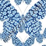 Colour:F