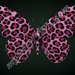 Colour:B
