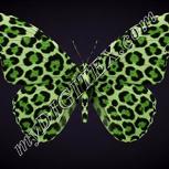 Colour:D