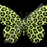 Colour:K