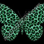 Colour:C