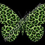 Colour:D