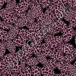 Colour:B