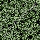 Colour:D