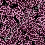 Colour:B