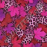 Colour:B