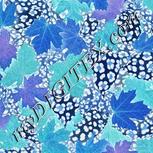 Colour:F