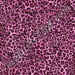 Colour:B