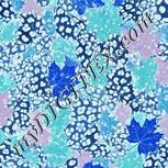 Colour:F