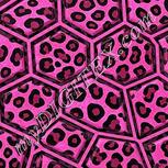Colour:B