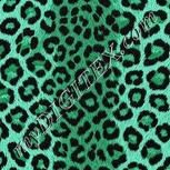 Colour:C