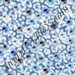Colour:F