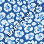 Colour:F