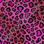 Colour:B