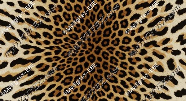 EBE 0004504